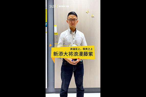 天鵝絨·暖冬系列（浪漫藤紫-0196）